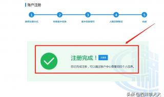四川电子税务局 四川电子税务局