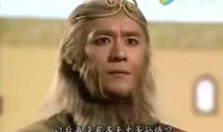 齐天大圣之通臂猿猴 齐天大圣之通臂猿猴