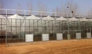 阳光板温室大棚 阳光板温室大棚