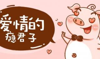 百合是怎样弄对方的