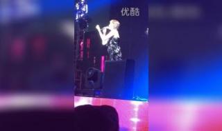 陈慧琳记事本演唱会